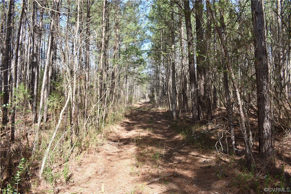 0 Lewis Tyler Lane (Rt 620) Ave unit 2304681, Charles City, VA 23030 - photo 1