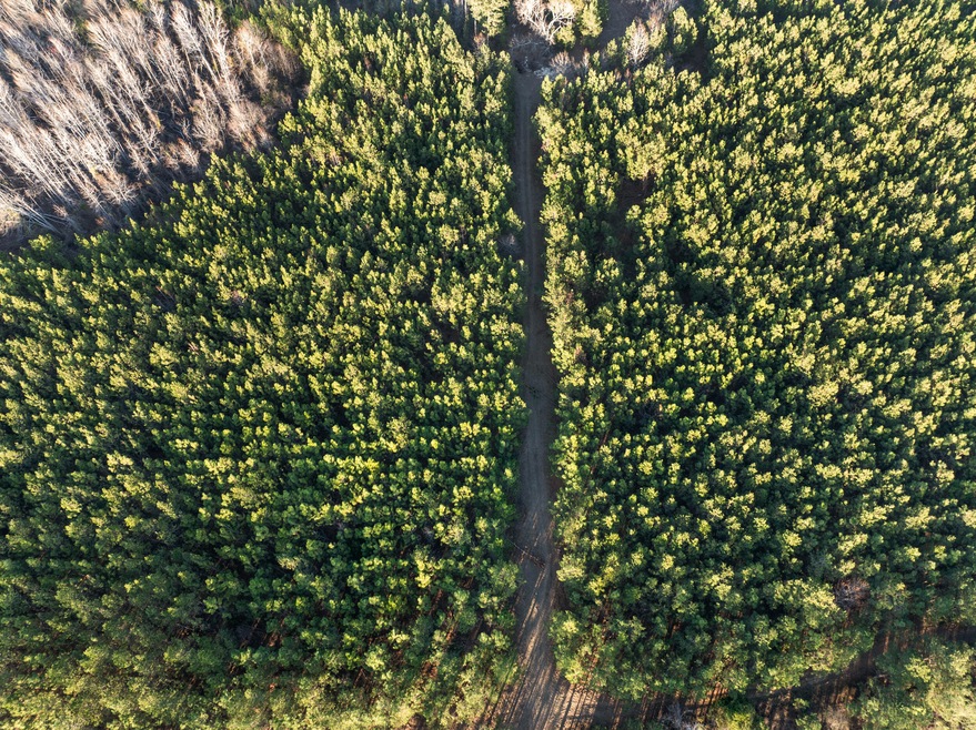 0 Thomas Rd unit 537933, Millen, GA 30442 - photo 1