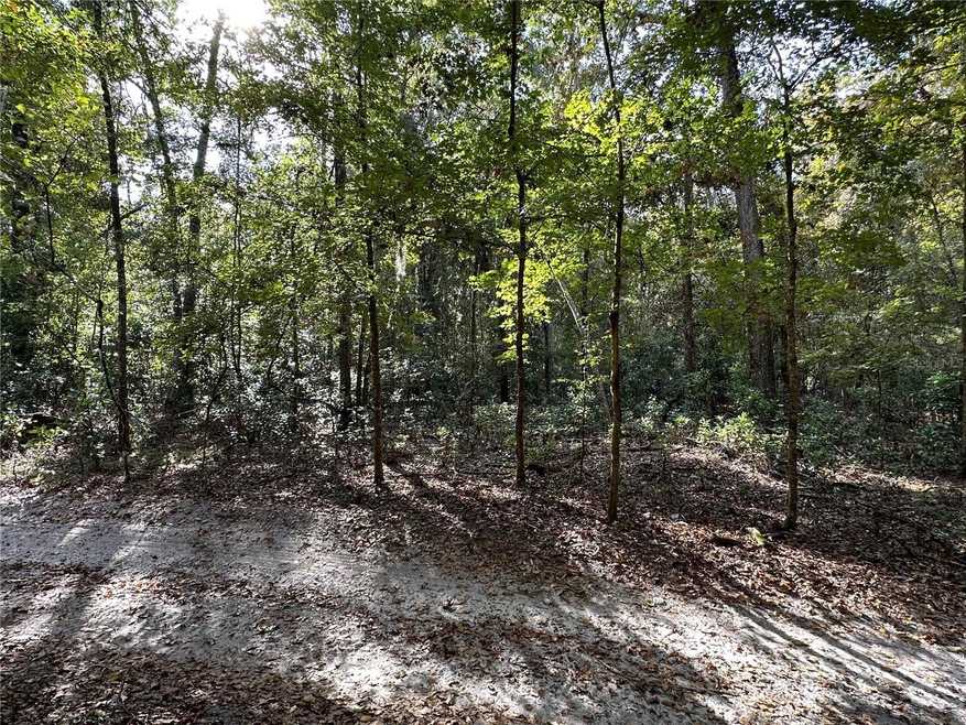 0 NE 125th Ln, Branford, FL 32008 - photo 1