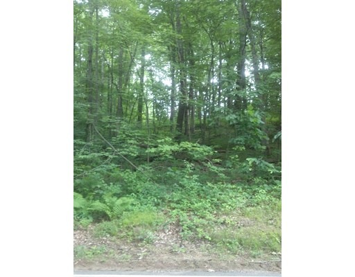 lot 16A Warren Rd, Brimfield, MA 01010 - photo 1