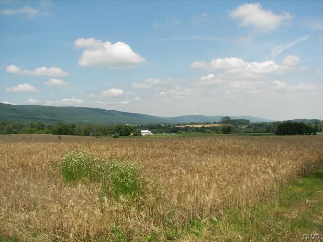 0 Berger Ln unit 432793, Upper Bern Township, PA 19526 - photo 1