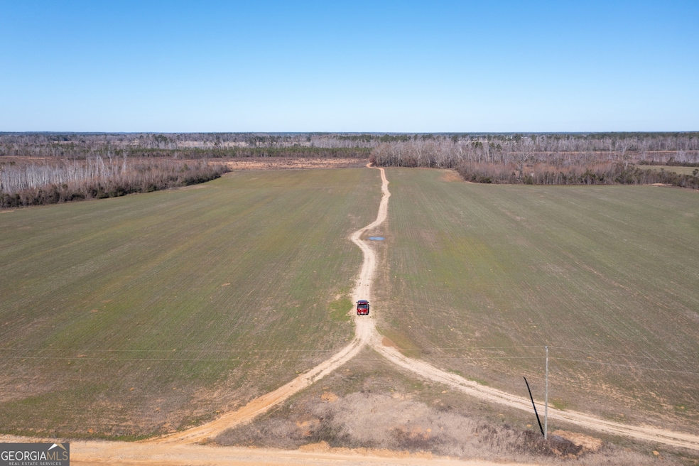 10544 Georgia 17, Wadley, GA 30477 - photo 1