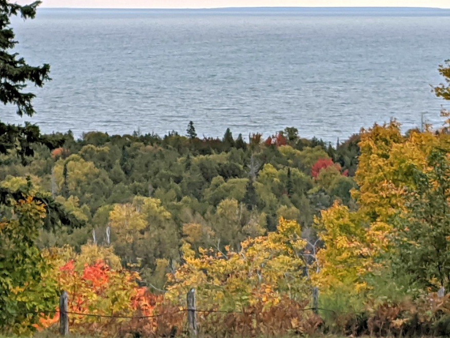 view