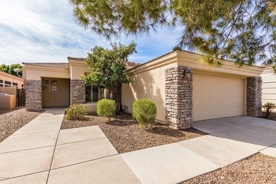 Carson - 3907 (4)