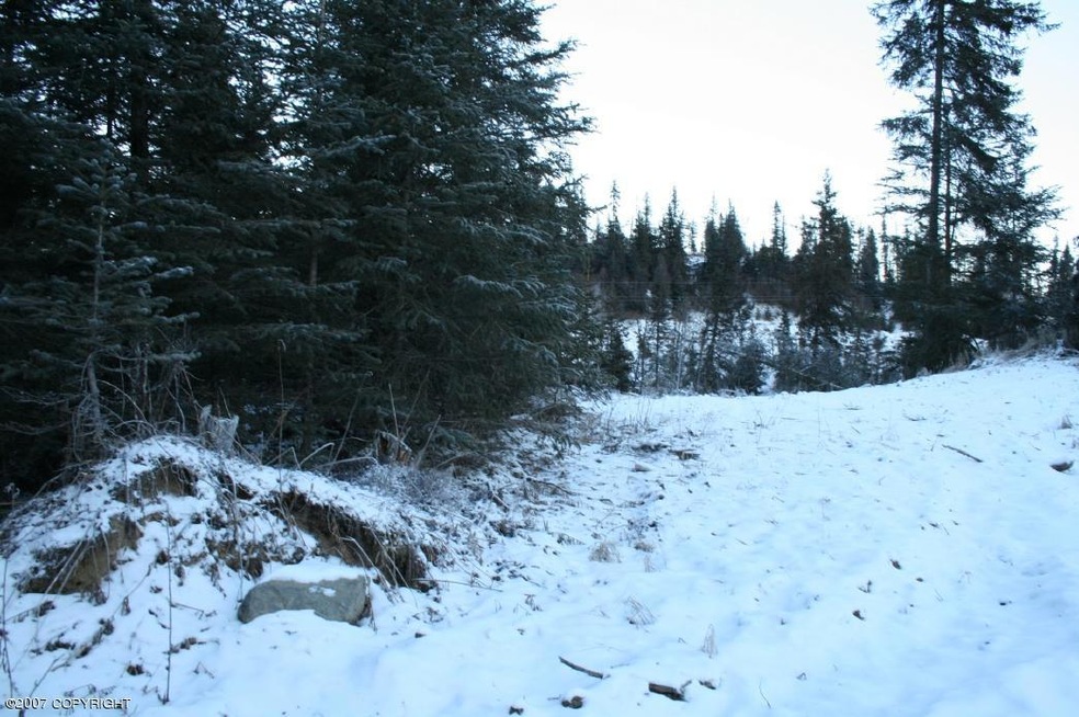 L39A Sterling Hwy, Anchor Point, AK 99556 - photo 1