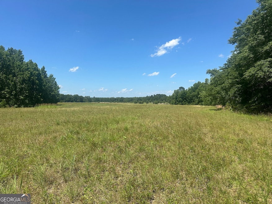 0 Rocky Knob Rd unit 10527508, Sylvania, GA 30467 - photo 1