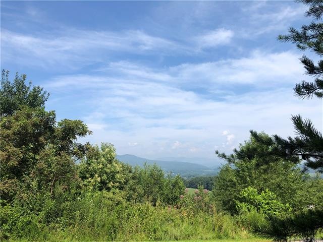 101 Balsamwood Rd unit 32, Leicester, NC 28748 - photo 1