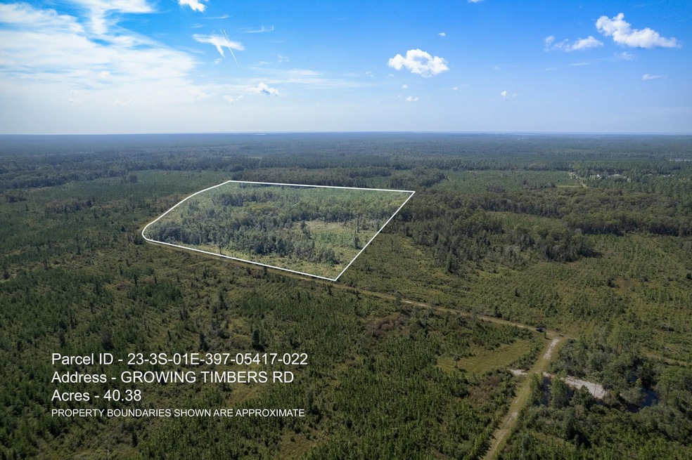 Lot 22 Growing Timbers Rd, Crawfordville, FL 32327 - photo 1