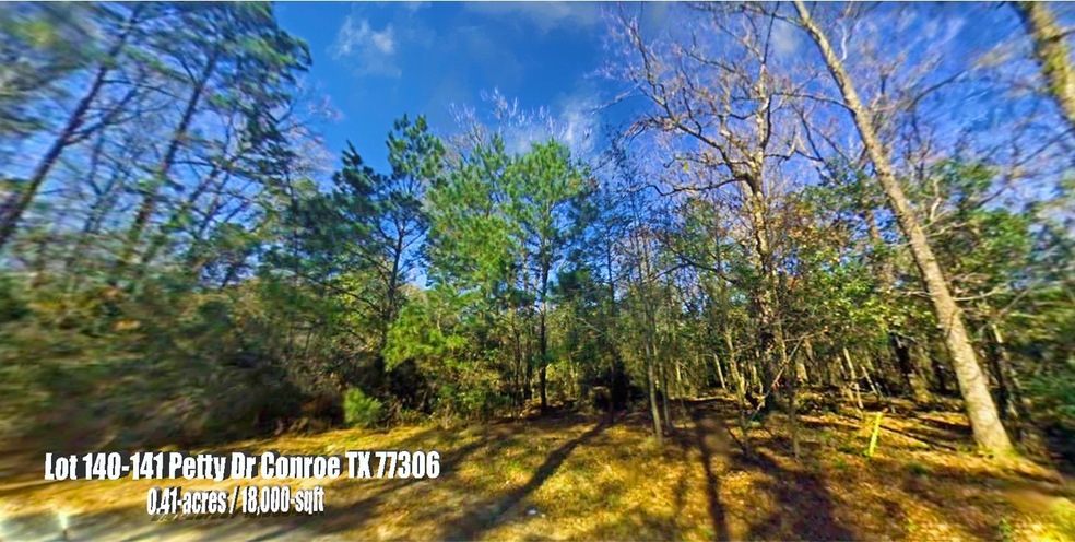 Lot 140-141 Petty Dr, Conroe, TX 77306 - photo 1