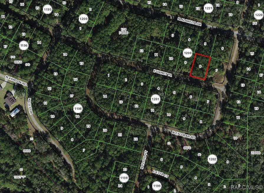 1389 E Urmey Place, Citrus Springs, FL 34434 - photo 1