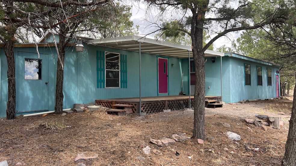 139 Homestead Trail, Datil, NM 87821 - photo 1