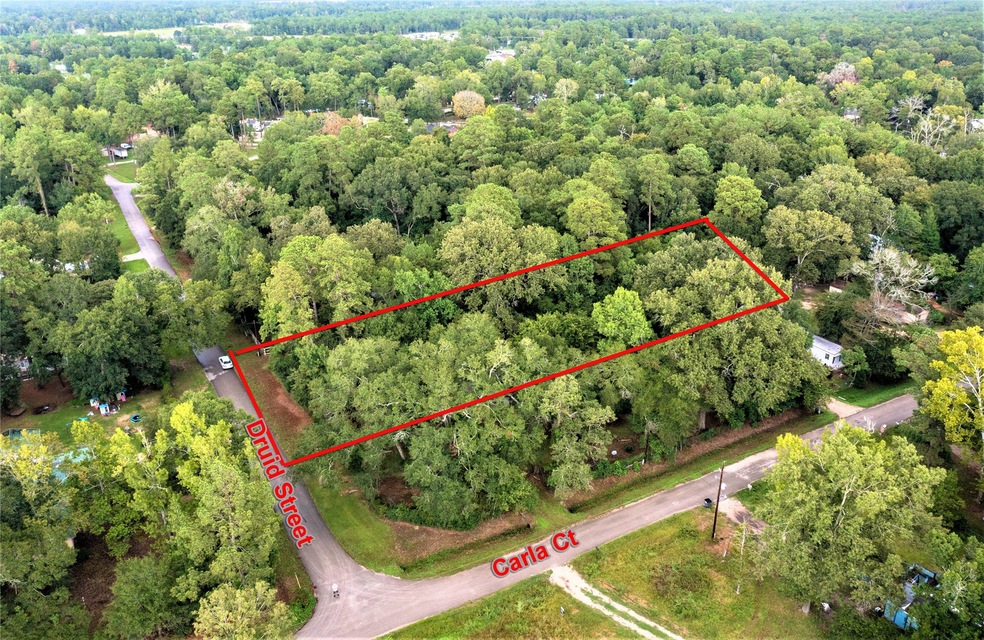 14921 Druid St, Conroe, TX 77302 - photo 1