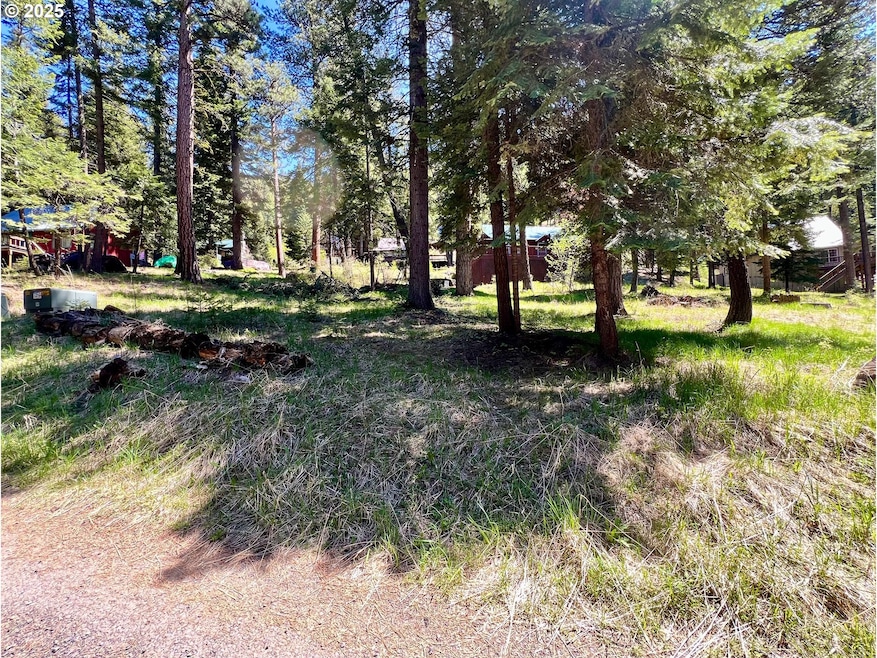 0 Forest Dell Ave unit 622201546, Wallowalake, OR 97846 - photo 1