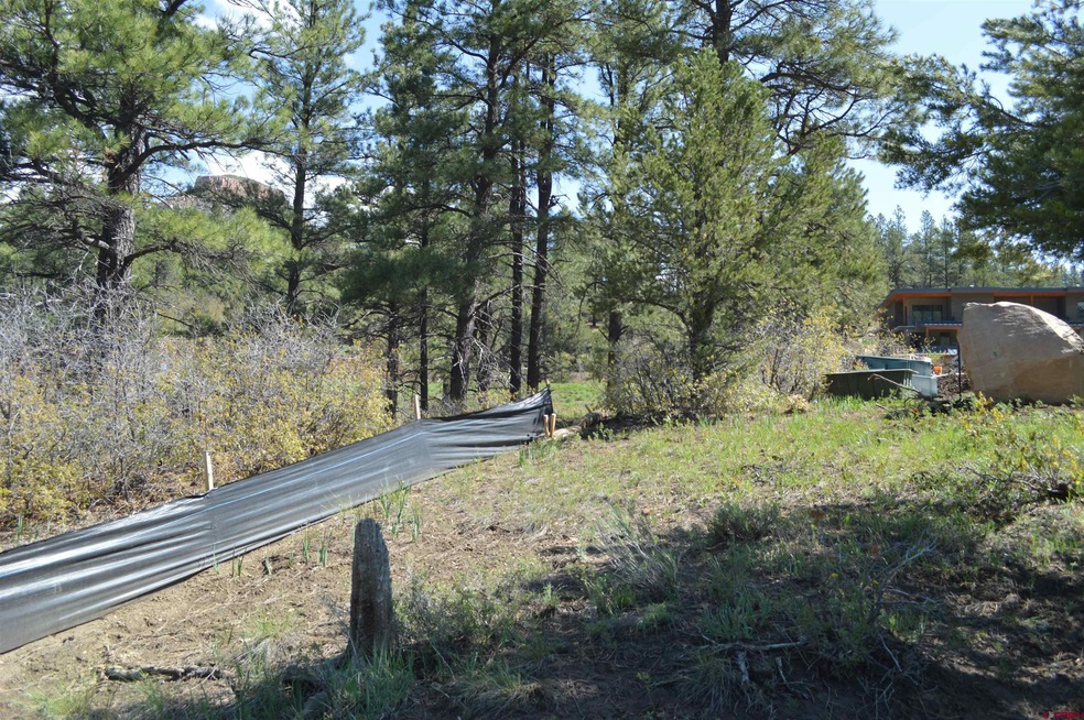 38 Wild Chives Court (Lot 102), Durango, CO 81301 - photo 1