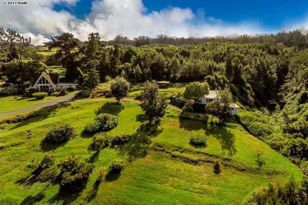 1100 Upper Kimo Dr, Kula, HI 96790 - photo 1