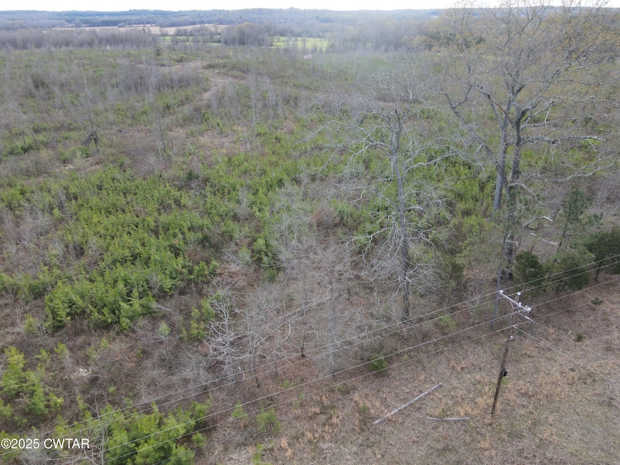dji_fly_20250325_171028_866_174293705511