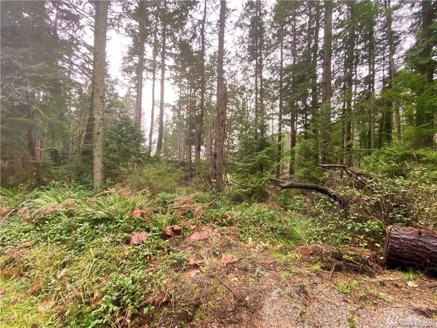 0 Claire Ln unit 1743022, Point Roberts, WA 98281 - photo 1