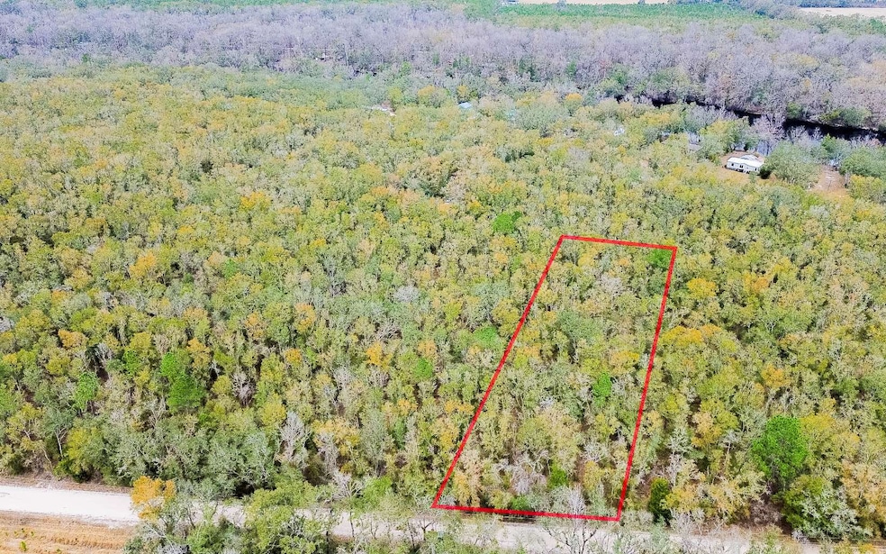 11 NE Tansy Road Lot 30, Mayo, FL 32066 - photo 1