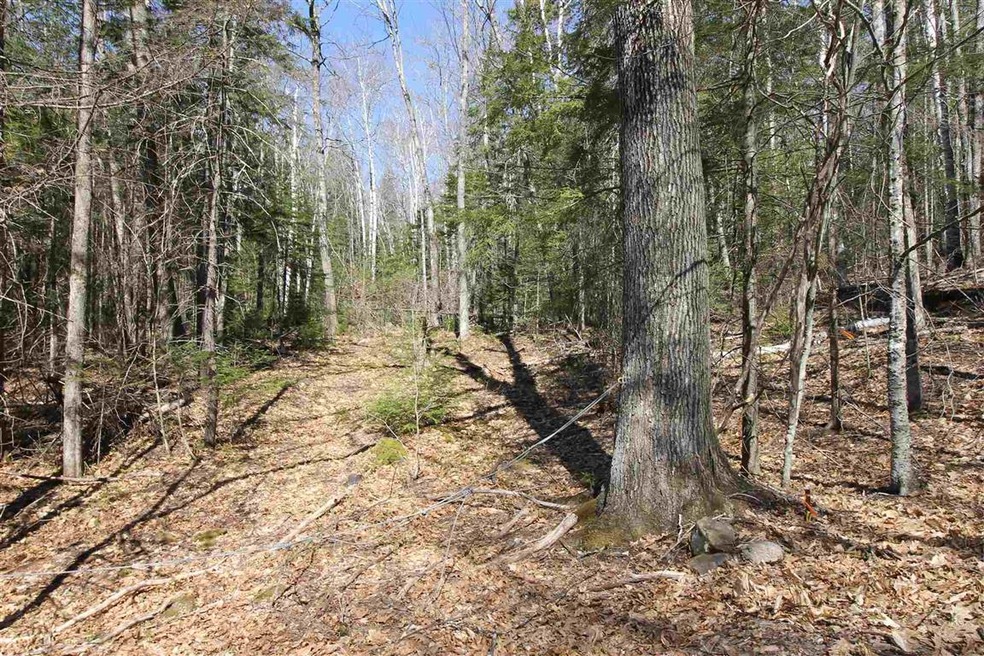 00 Tamarack Rd, Thornton, NH 03285 - photo 1