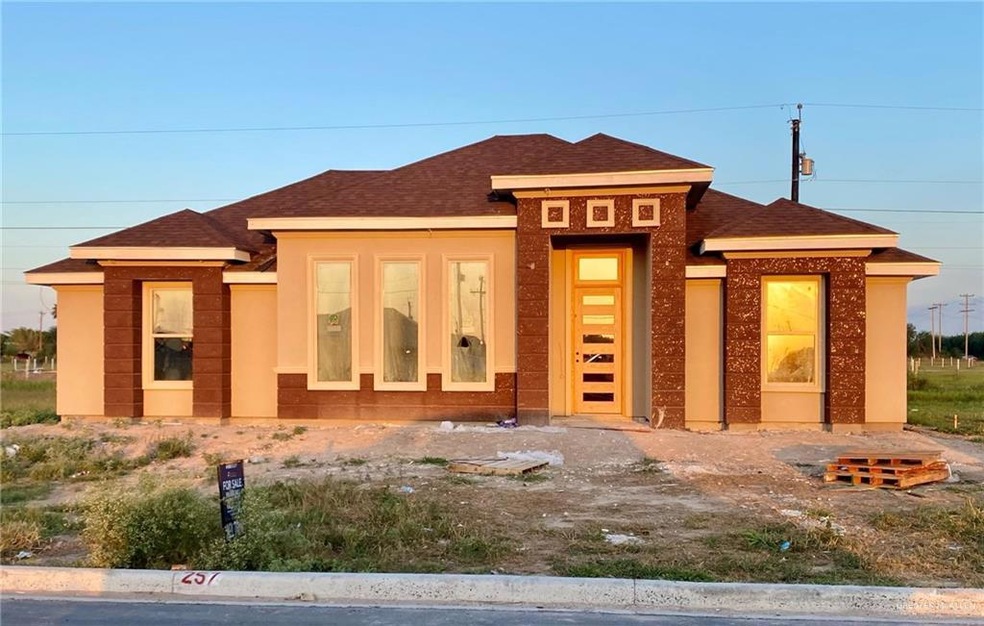 832 Whitewing St, Alamo, TX 78516 - photo 1