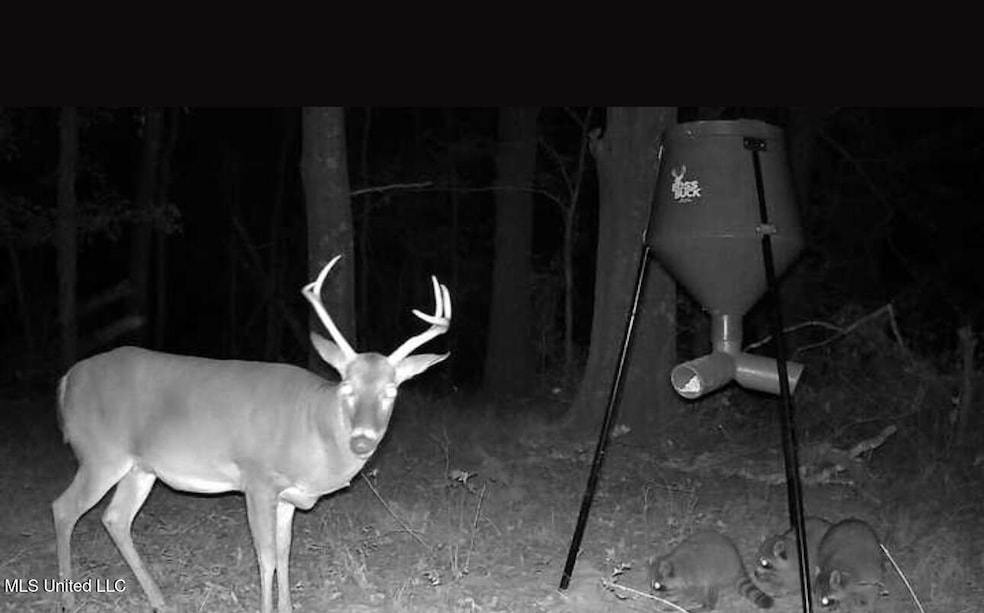 1851 Swamp Rd, Carthage, MS 39051 - photo 1