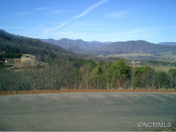 19 Moores Valley Rd unit 1, Leicester, NC 28748 - photo 1