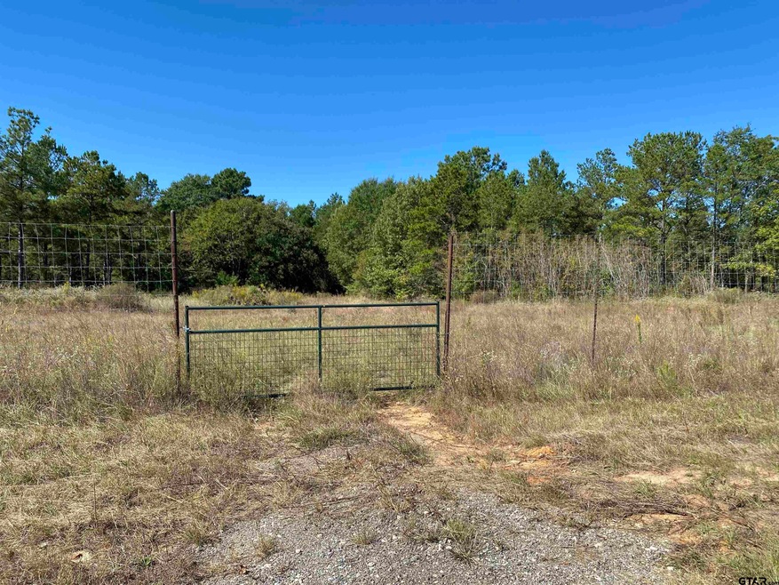 10960 10960 Cr 233, Arp, TX 75750 - photo 1