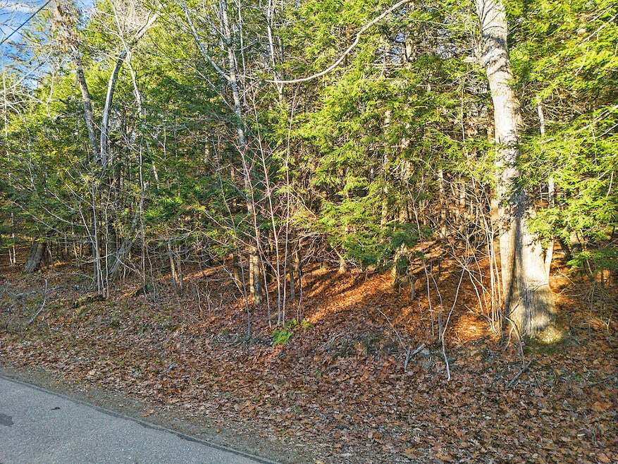 Lot 3-1 Bryant Rd, Unity, ME 04988 - photo 1