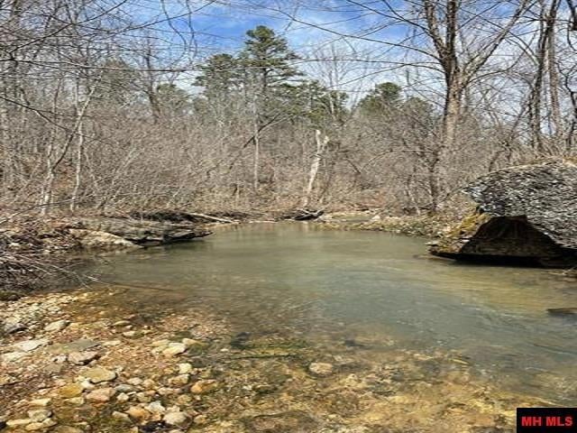 001-04964-003 Jimmie Creek Trail, Yellville, AR 72687 - photo 1