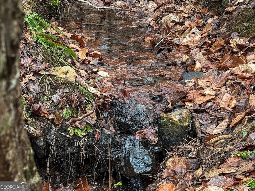 77 Observation Way, Dallas, GA 30132 - photo 1