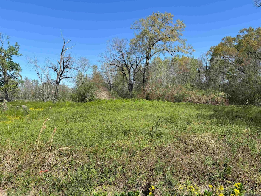 0 Don Lou Rd unit 2025005042, Gonzales, LA 70737 - photo 1