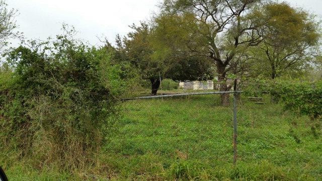 000 Mile 9 1 2 N, Donna, TX 78537 - photo 1