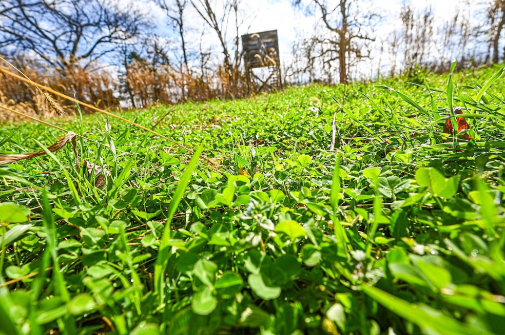 1273 County Rd A-435, Ava, MO 65608 - photo 1