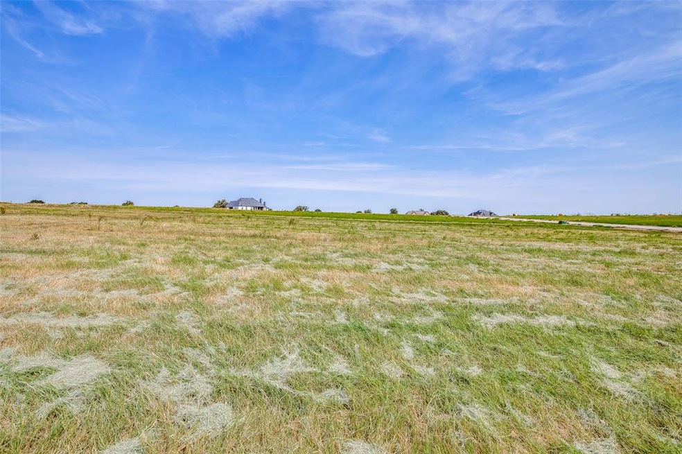 TBD Swallowtail, Poolville, TX 76487 - photo 1