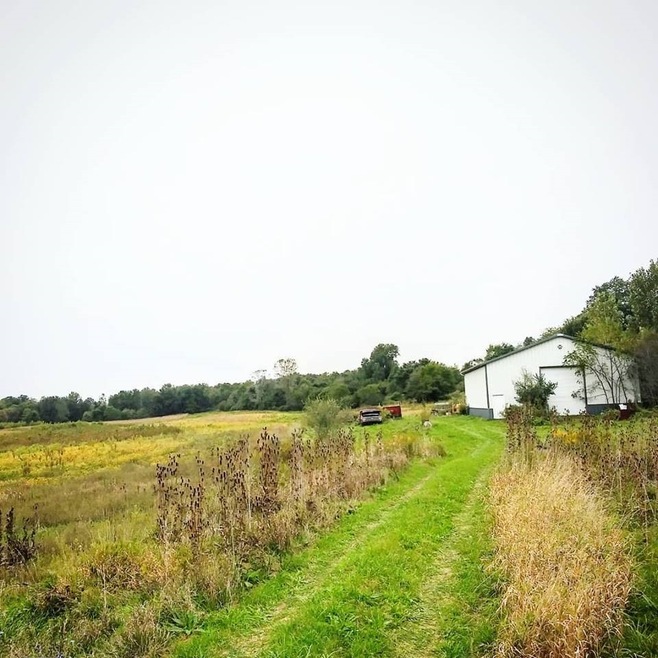 View from beginning of drive path