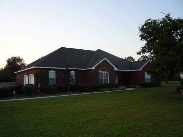 Main View