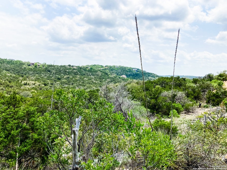 9856 Cash Mountain Rd, Helotes, TX 78023 - photo 1
