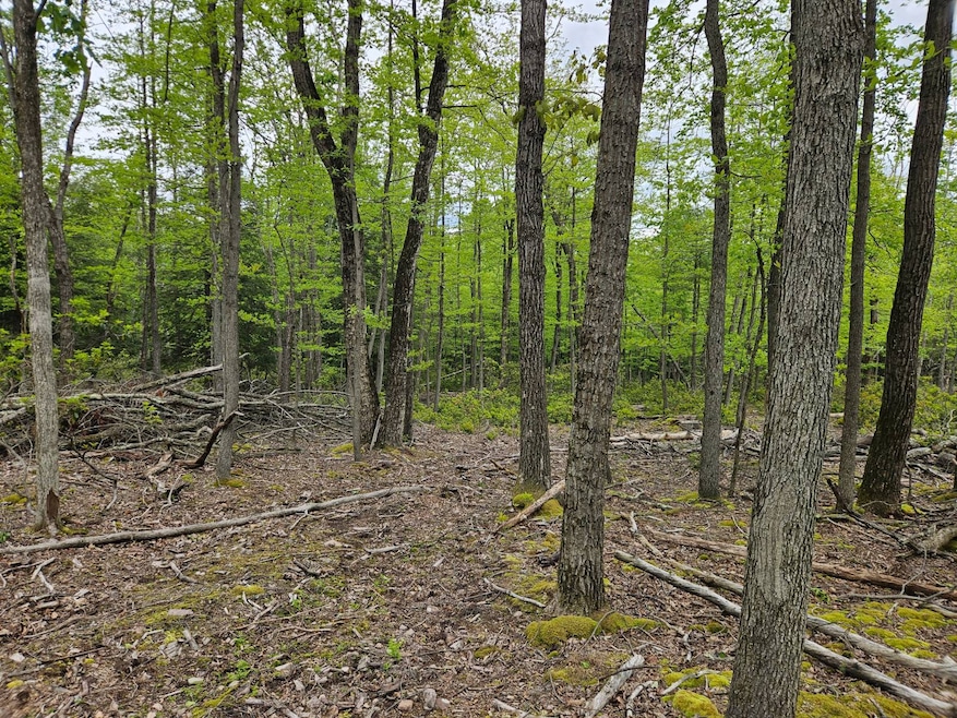 For Sale $95,900 • Co-Listing Agent