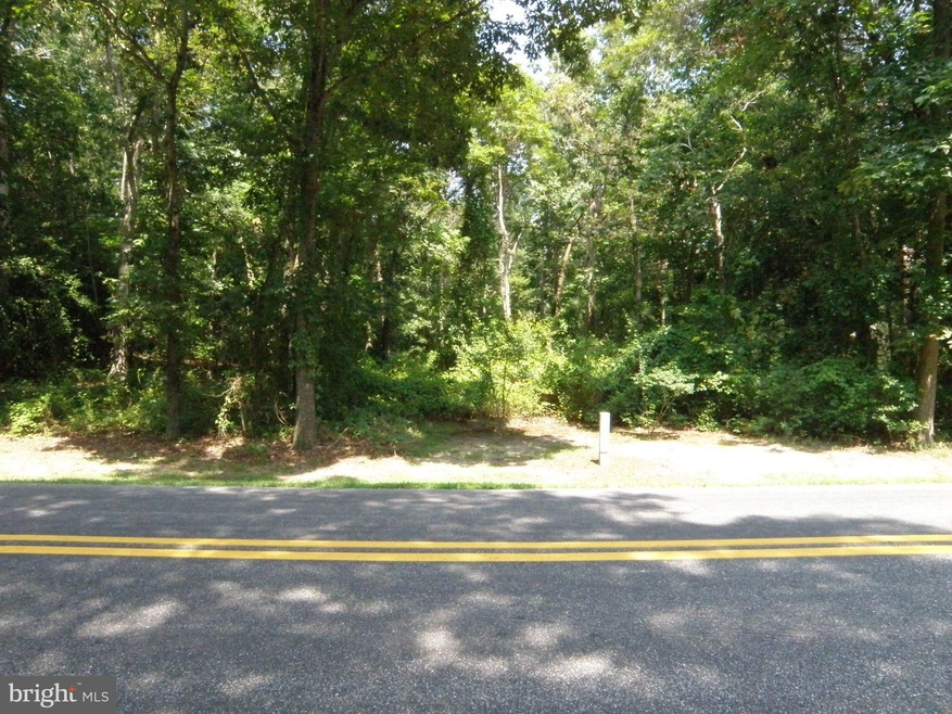 Building Lot Road 492a, Laurel, DE 19956 - photo 1