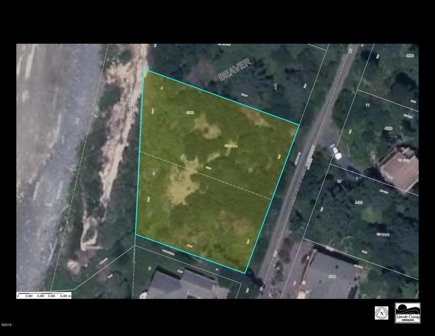 Satellite Map