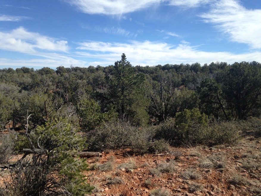165 Off of Rocky Rd, Ash Fork, AZ 86320 - photo 1