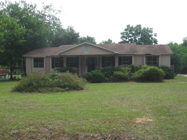 Main View
