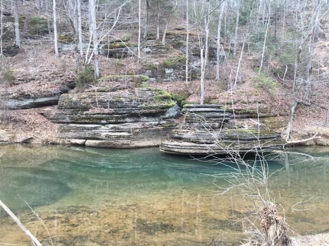 106 Hurricane Creek Rd, Tennessee Ridge, TN 37178 - photo 1