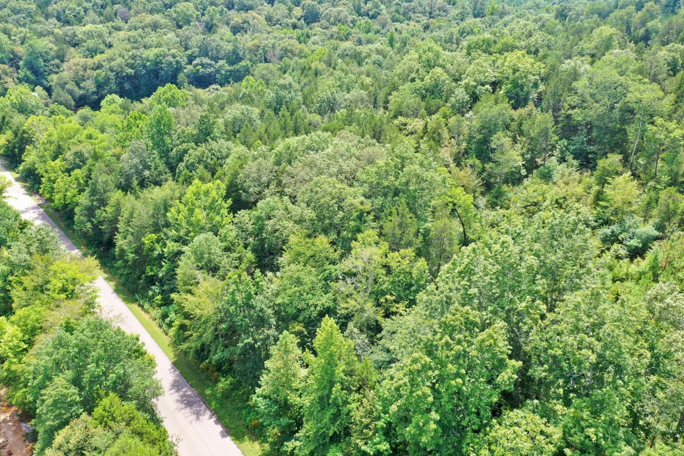 0 Mayberry Prong Rd unit 2182866, Linden, TN 37096 - photo 1