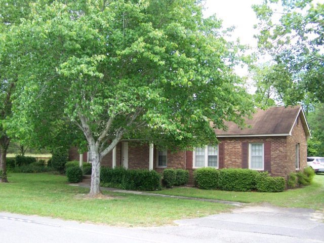Main View