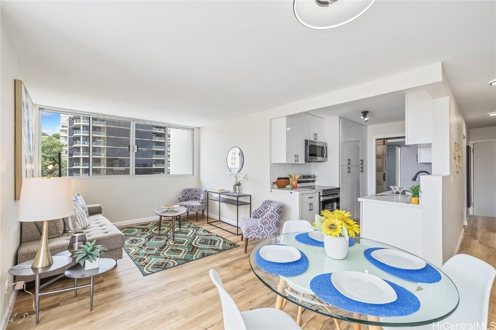 Flow of entrance, open kitchen, living & dining (