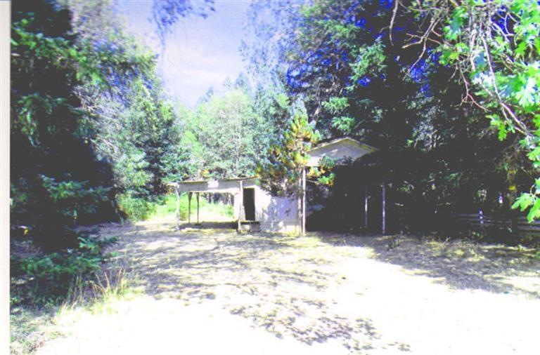 Primary Photo