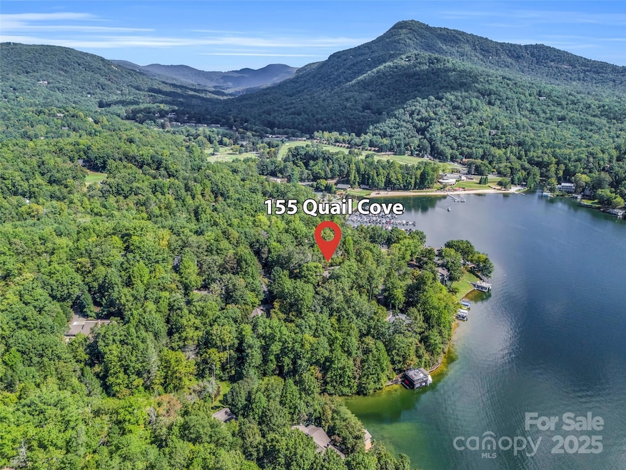155 Quail Cove Blvd unit 1602, Lake Lure, NC 28746 - photo 1