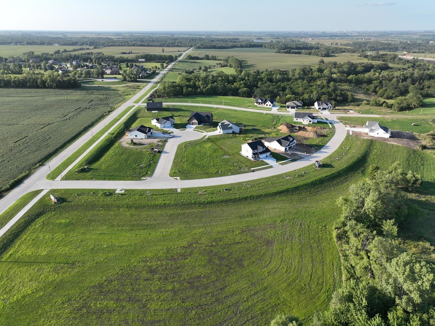 Aerial View 1
