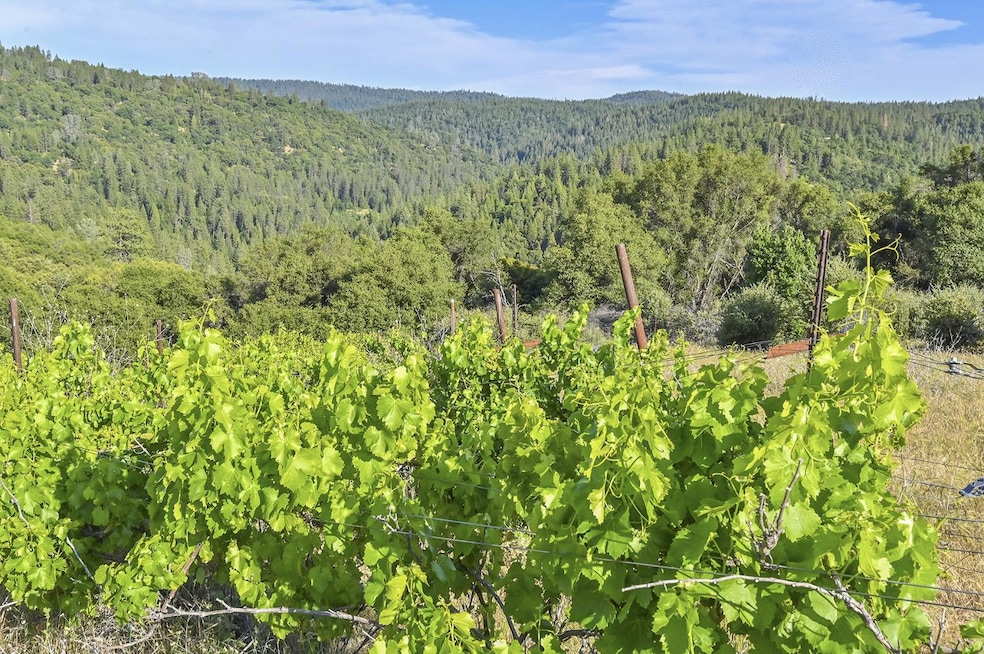 Sold $245,000 • Co-Listing Agent